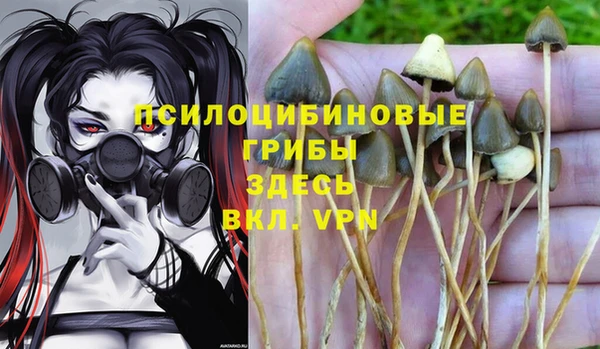 твердый Алексеевка